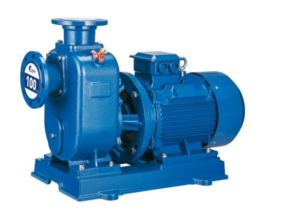 ZW direct-connected self-priming pump (sewage type)